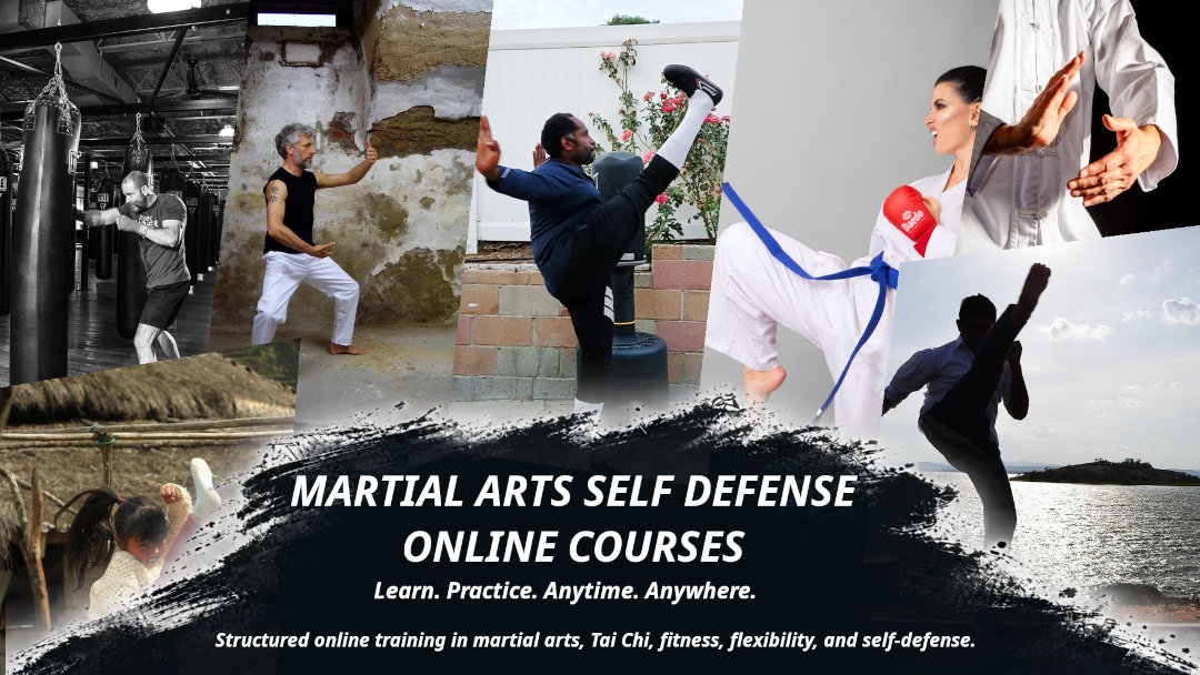 Many people doing martial arts representing the diversity on the online courses offered.